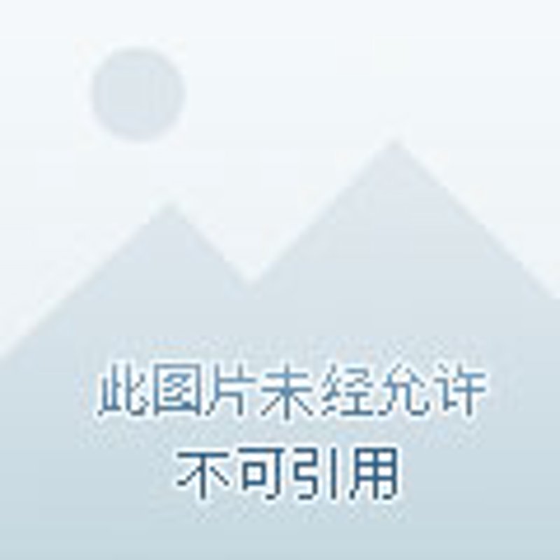 车联网系统开发：驱动未来出行的智慧引擎